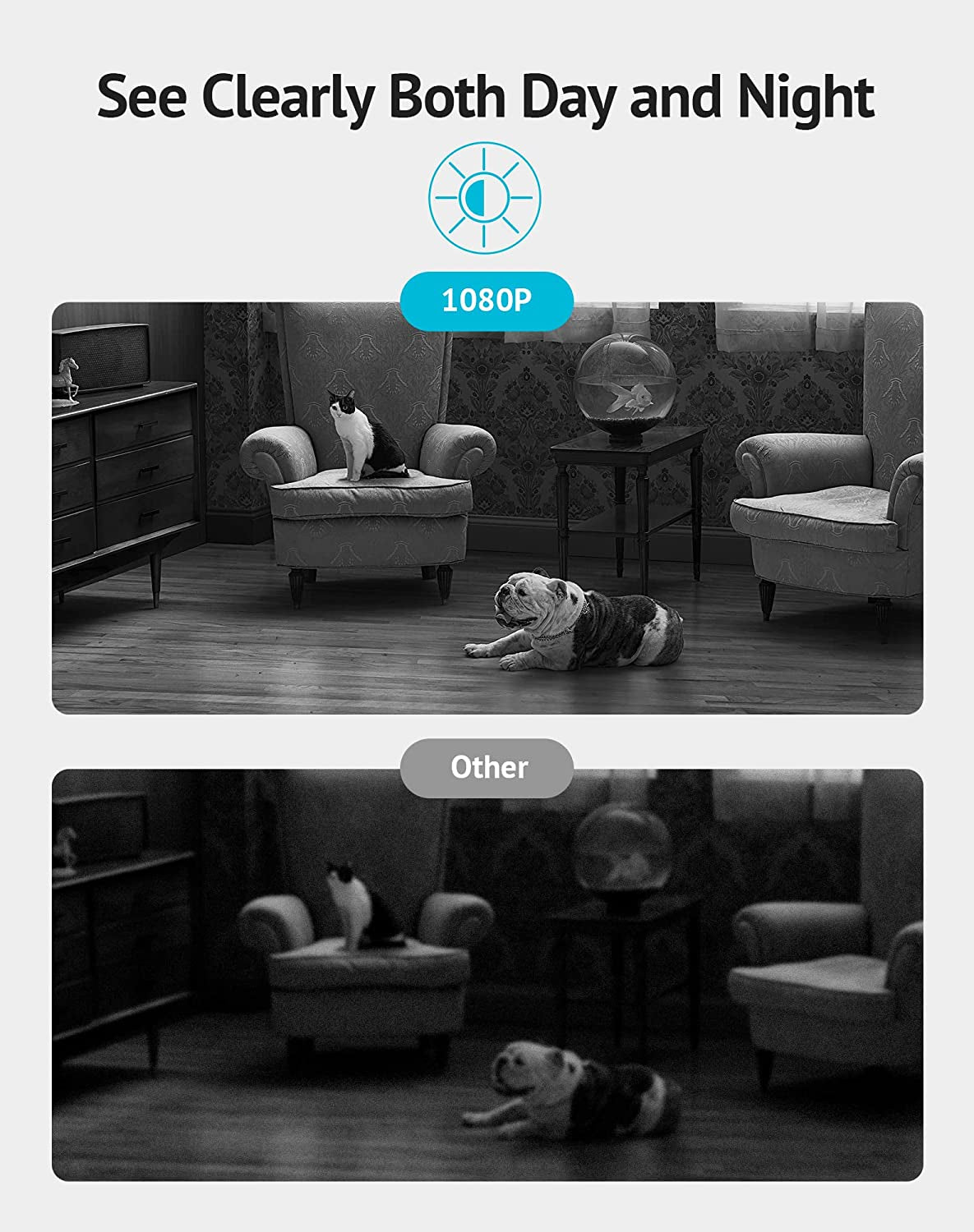 2-Pack 1080P HD Wi-Fi Pet Camera