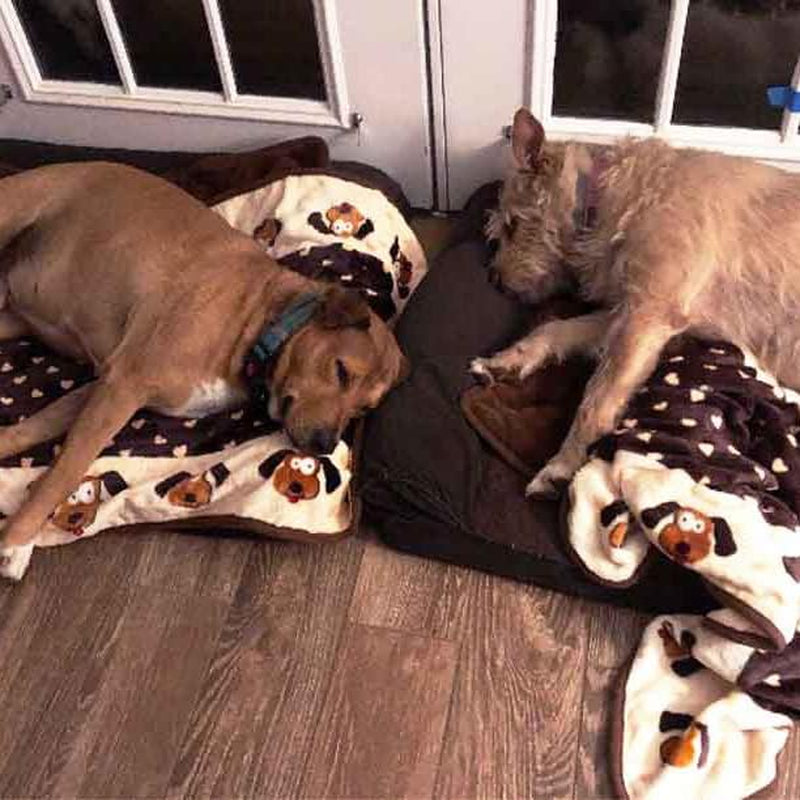 Snuggle Blanket