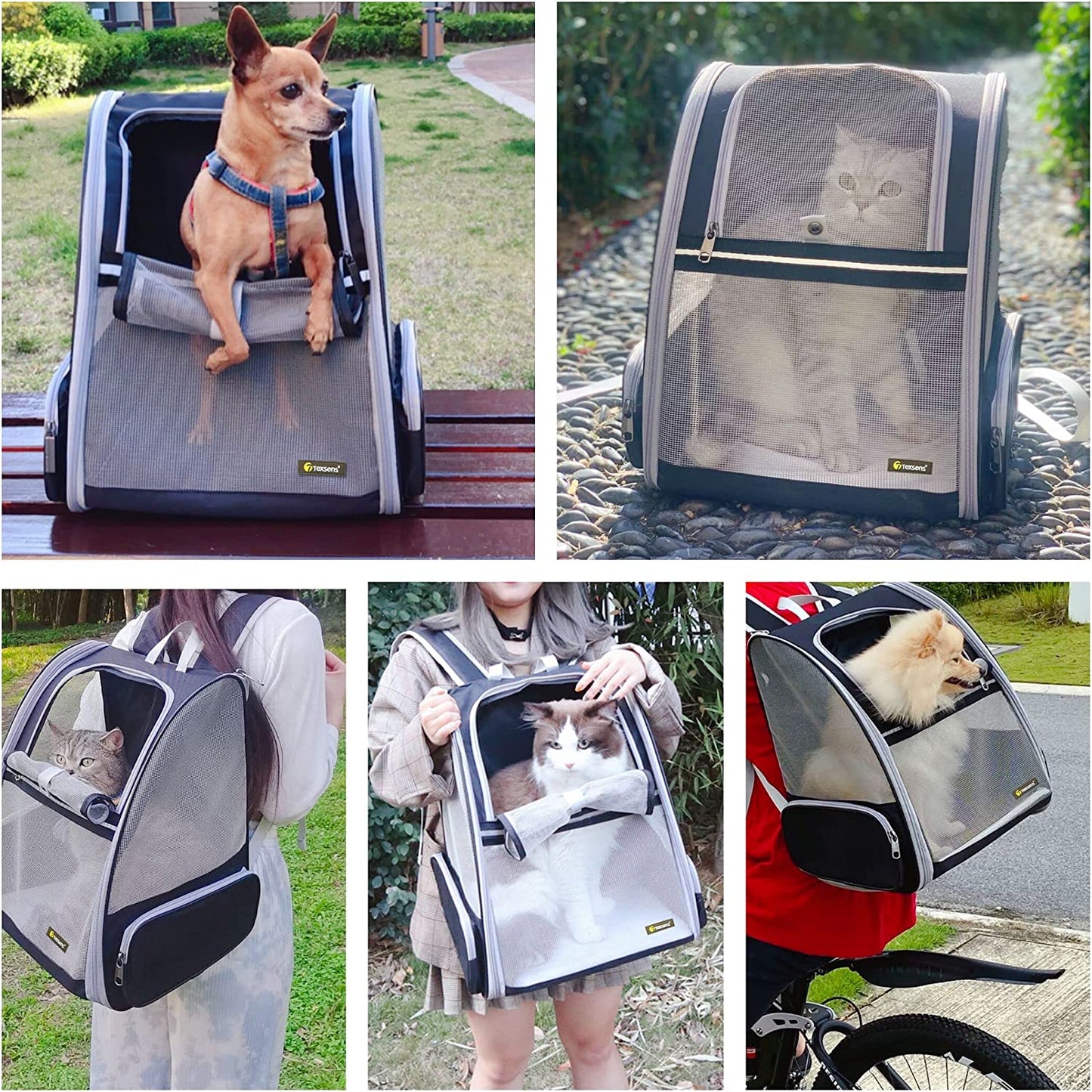 Traveler Bubble Backpack Pet Carrier – Explore the World Together!