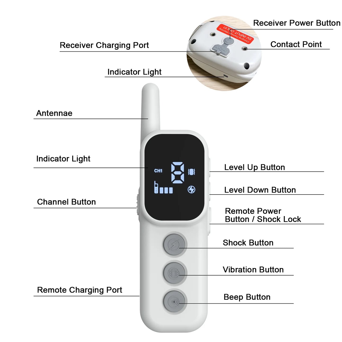 Dog Training Collar with Remote