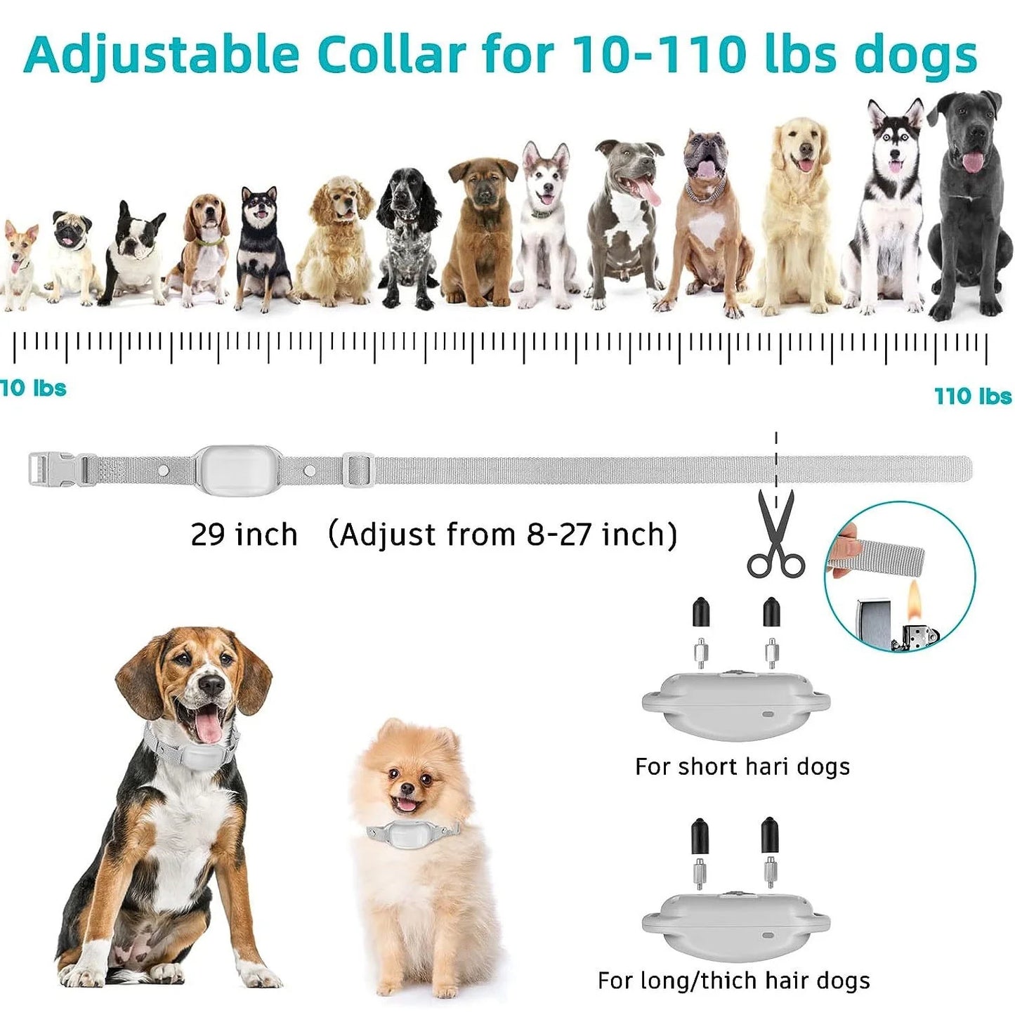 Dog Training Collar with Remote