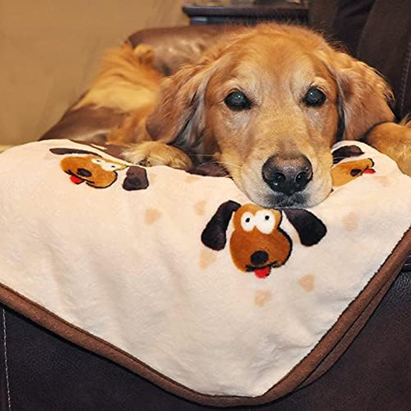 Snuggle Blanket