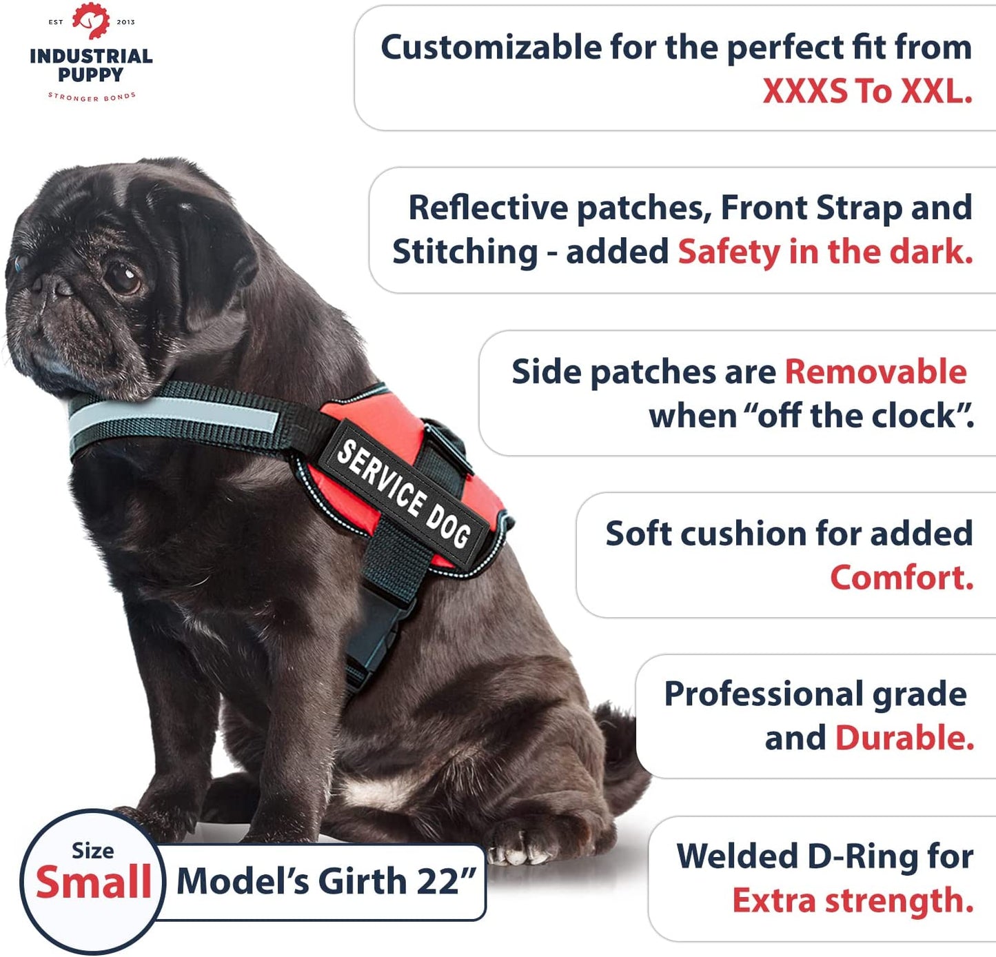 Service Dog Vest and Leash Set