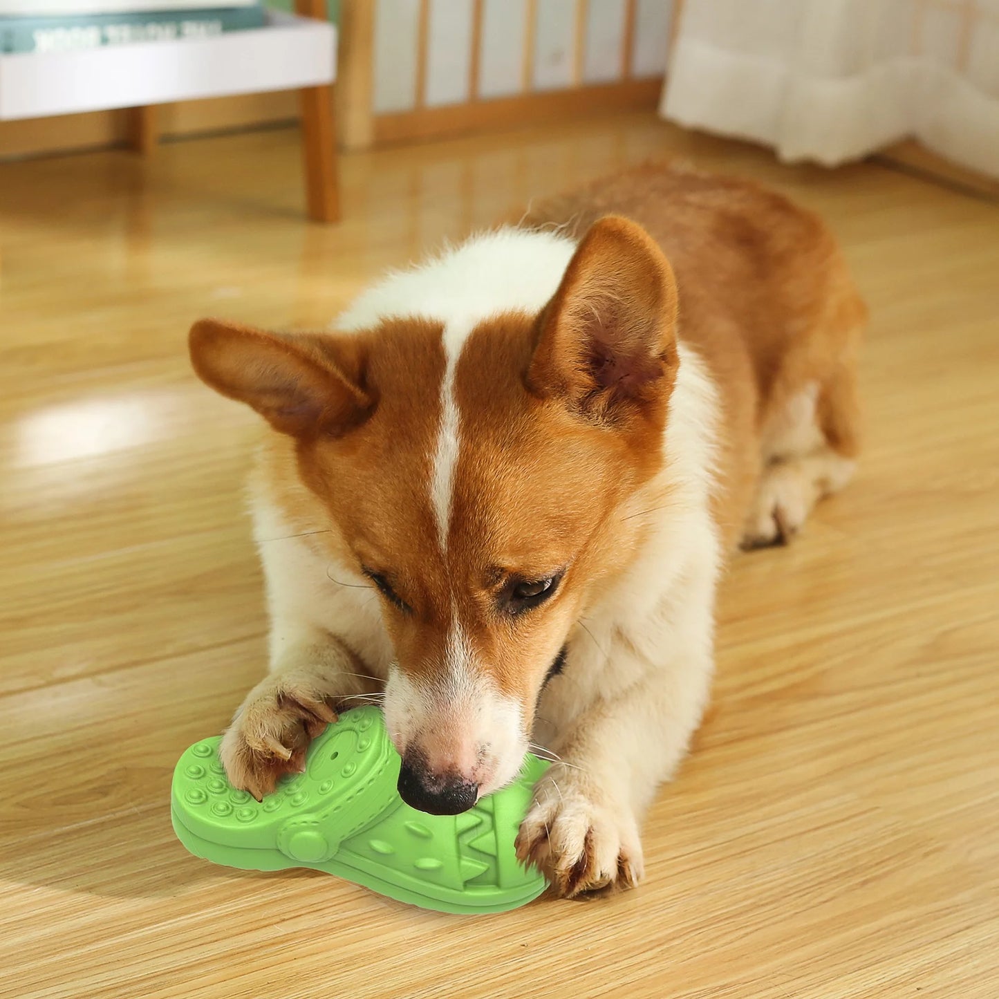 Squeaky Dog Chew Toy - Teeth Cleaning Shoe Shape
