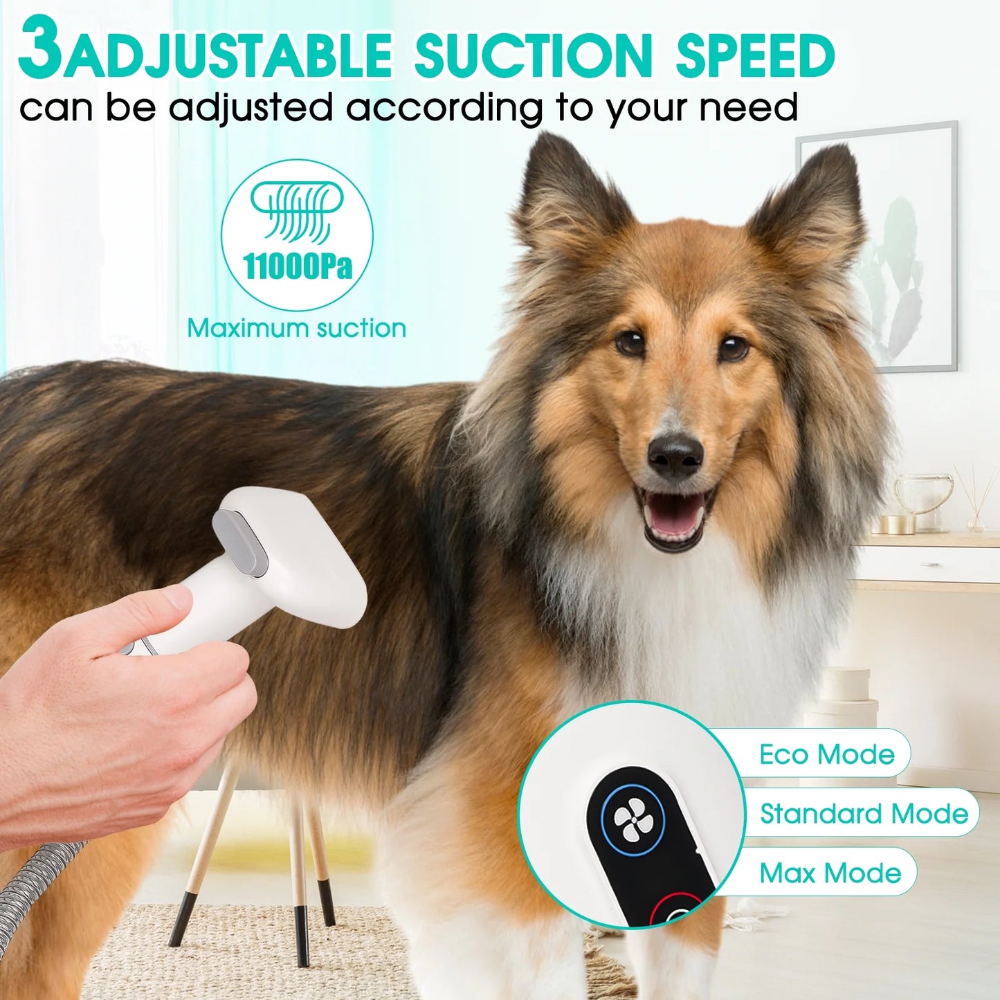 Pet Grooming Kit & Vacuum – 5-in-1 Low-Noise Groomer with 11Kpa Suction