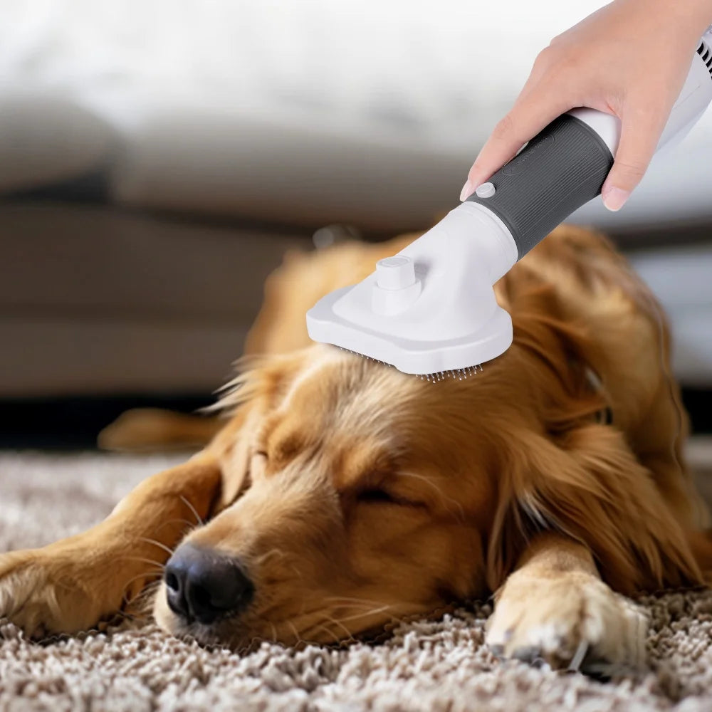 2-in-1 Pet Hair Dryer & Brush
