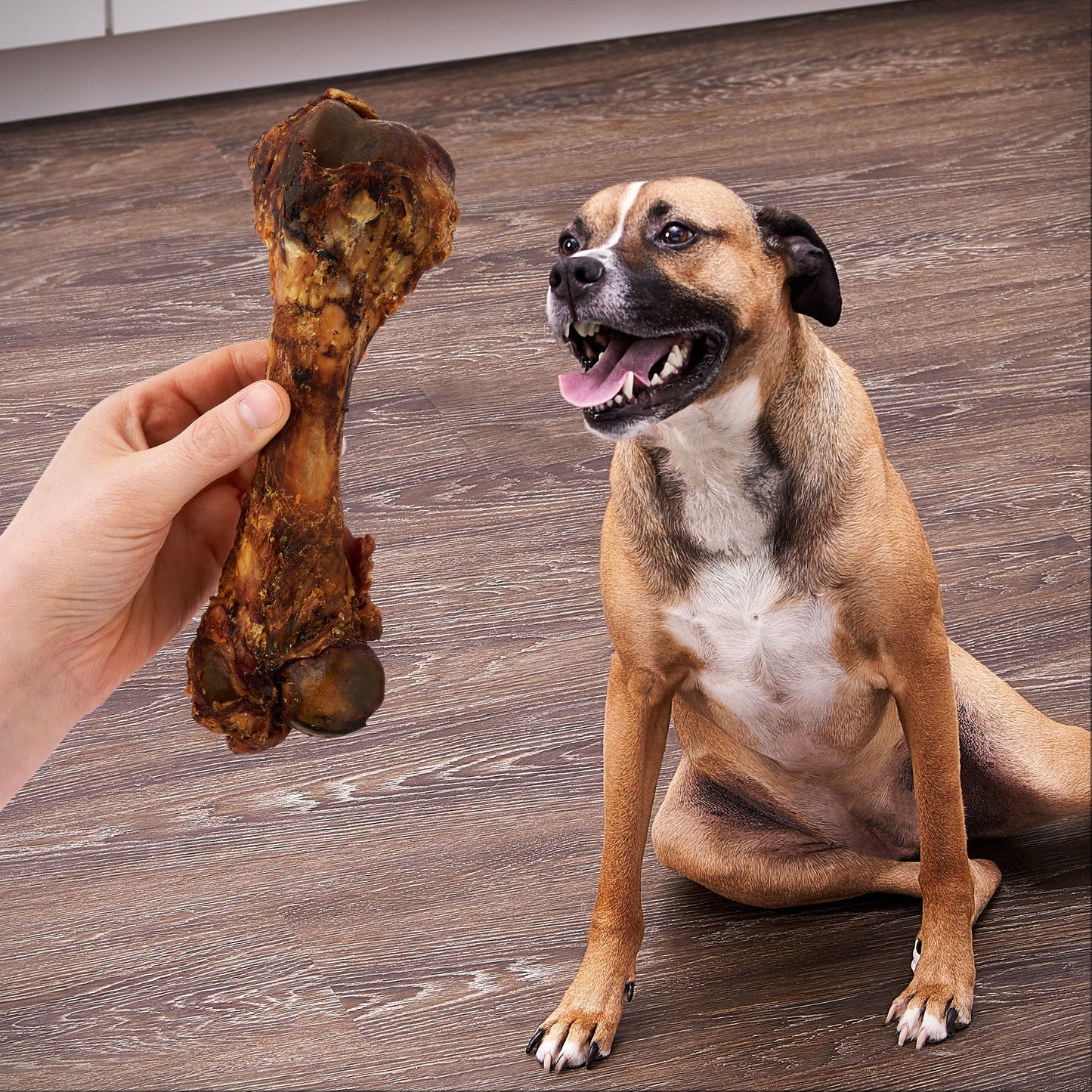 Ol' Roy Natural Pork Femur Chew for Dogs