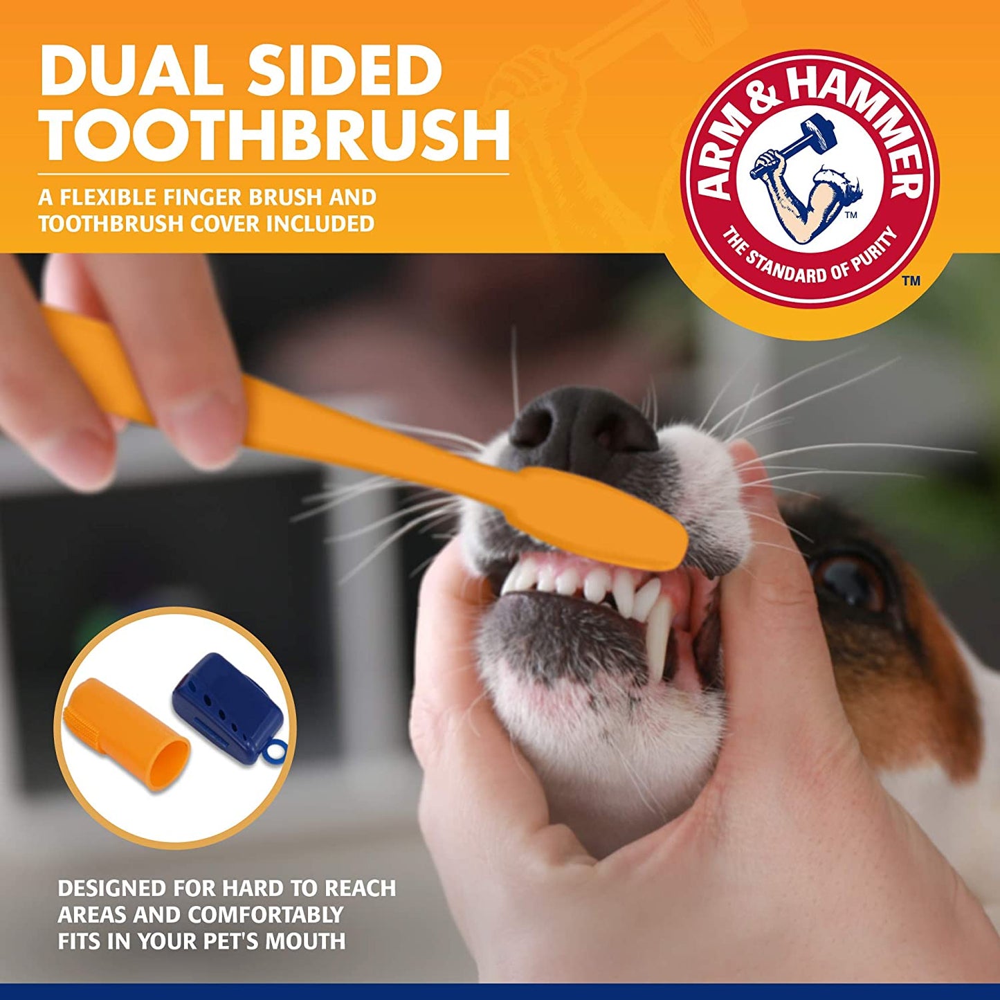 Complete Dental Care Kit for Dogs – Tartar & Plaque Control