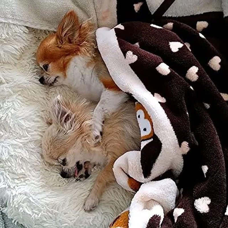 Snuggle Blanket