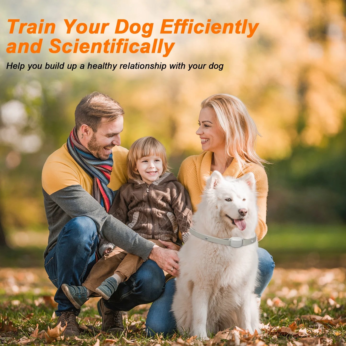 Dog Training Collar with Remote