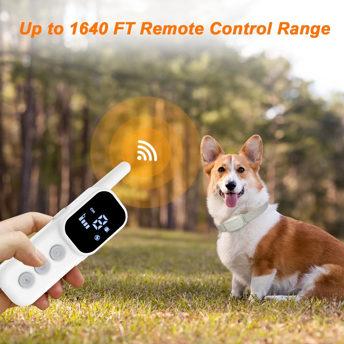 Dog Training Collar with Remote
