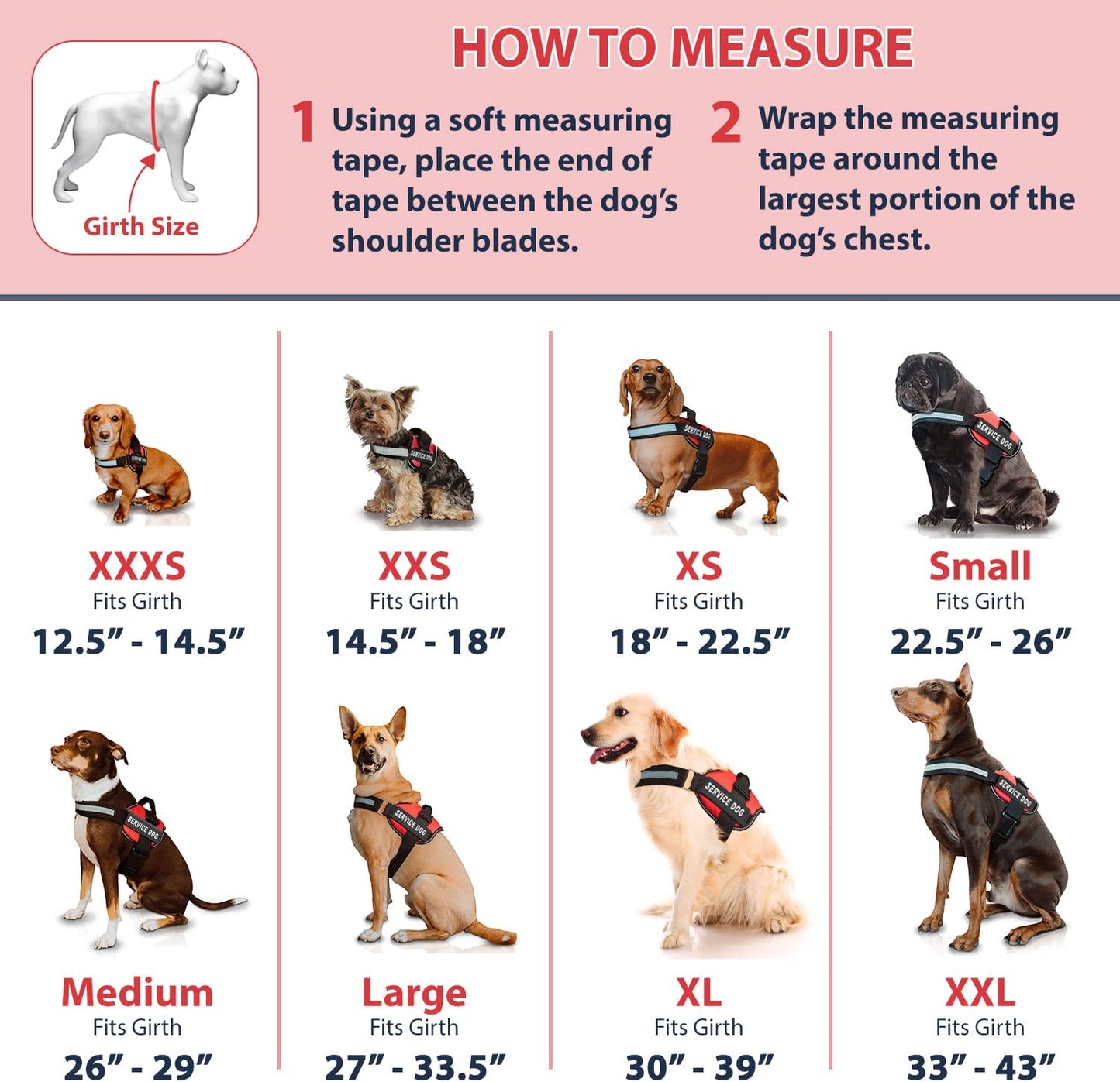 Service Dog Vest and Leash Set