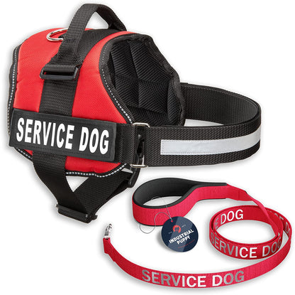 Service Dog Vest and Leash Set