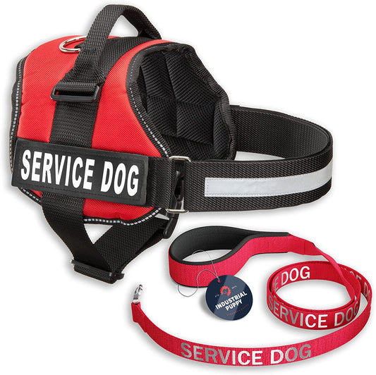 Service Dog Vest and Leash Set