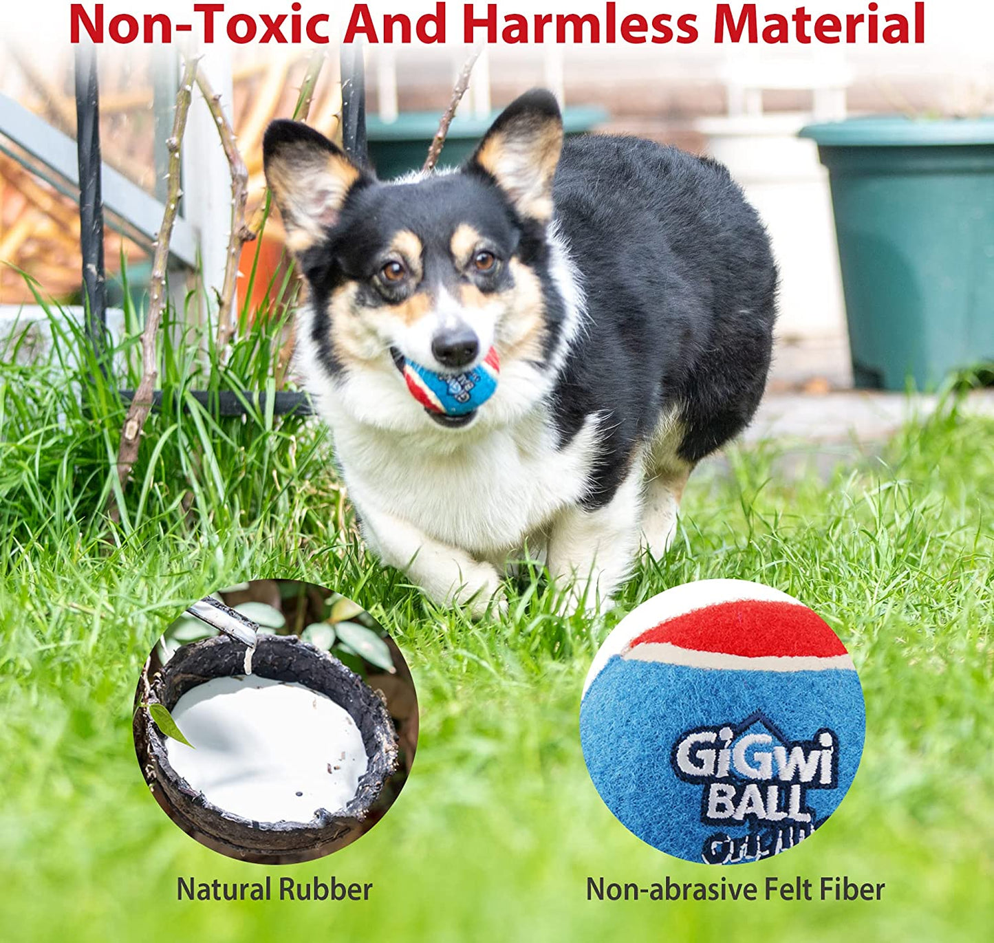 Squeaky Tennis Balls for Dogs – Interactive Fun for Every Breed