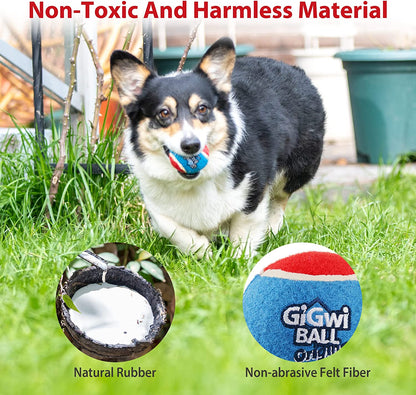 Squeaky Tennis Balls for Dogs – Interactive Fun for Every Breed
