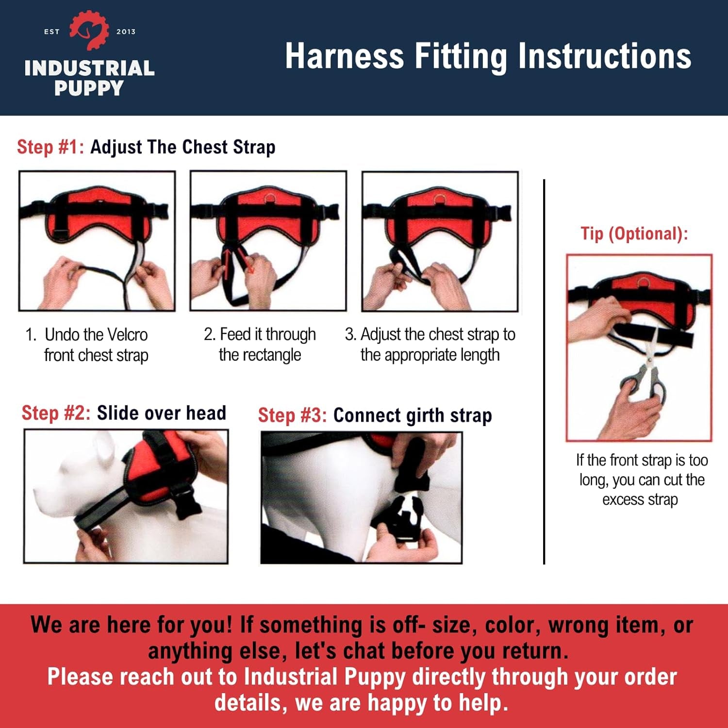 Service Dog Vest and Leash Set