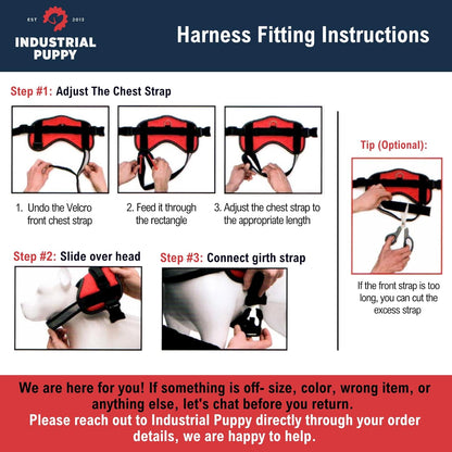 Service Dog Vest and Leash Set
