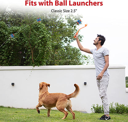 Squeaky Tennis Balls for Dogs – Interactive Fun for Every Breed