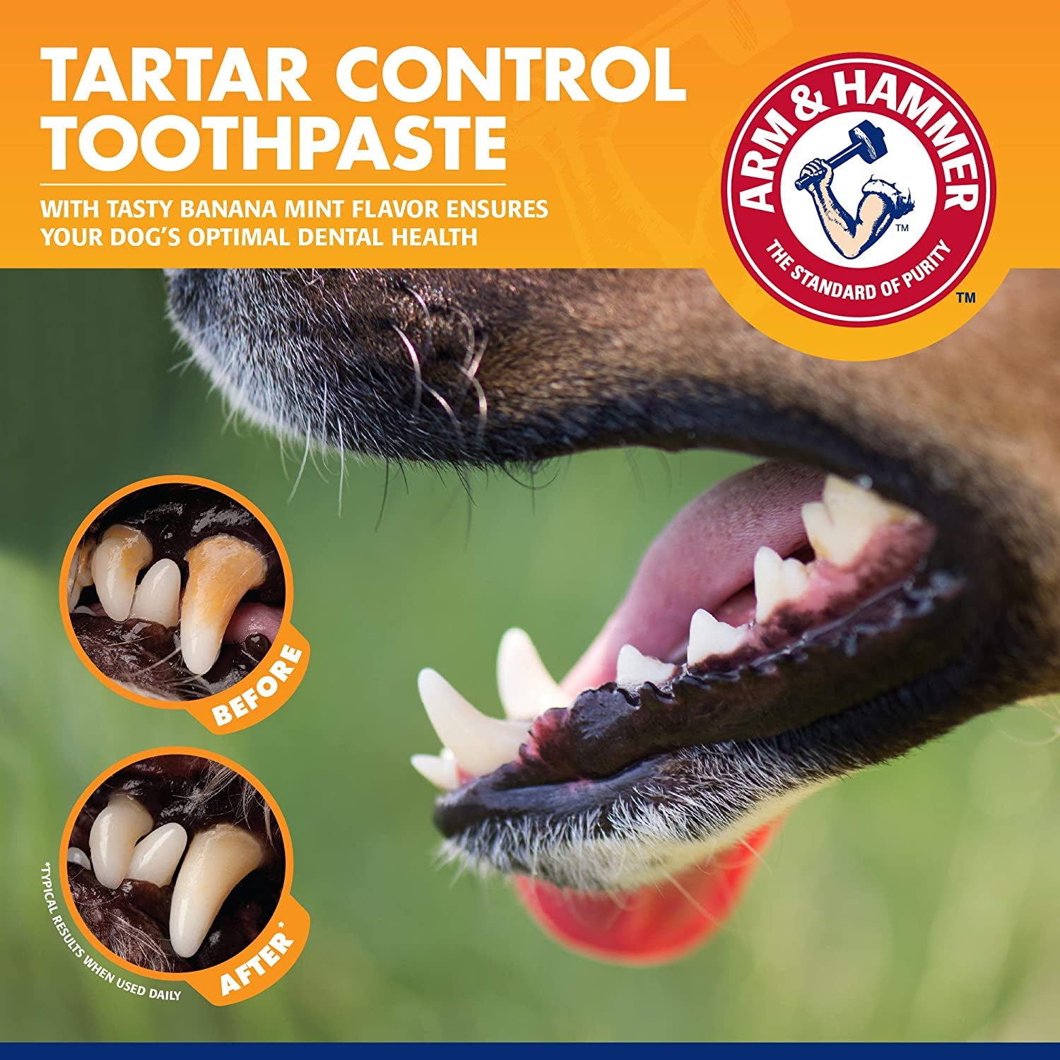 Complete Dental Care Kit for Dogs – Tartar & Plaque Control