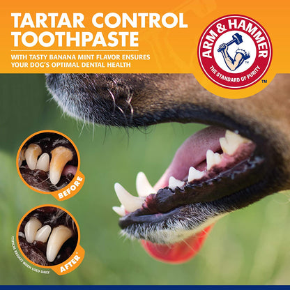 Complete Dental Care Kit for Dogs – Tartar & Plaque Control