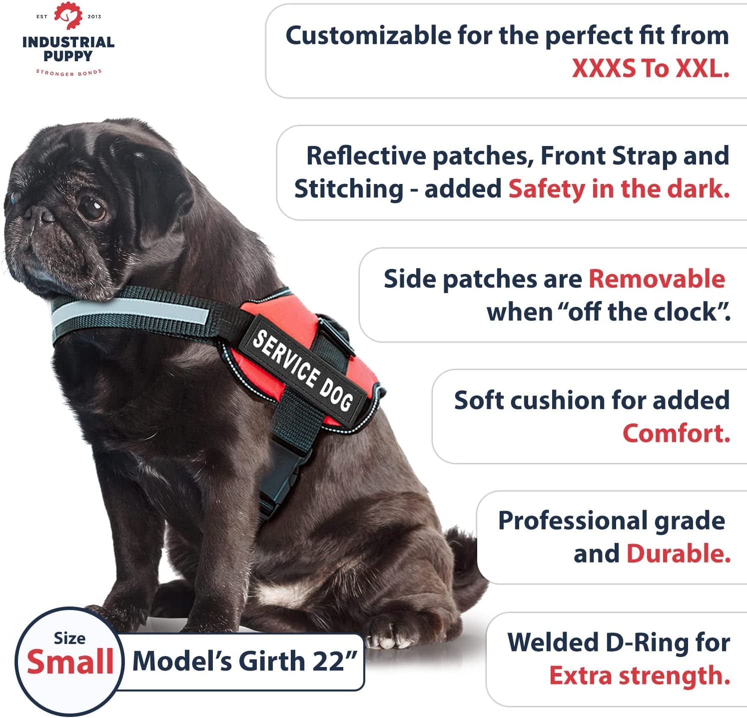 Service Dog Vest and Leash Set