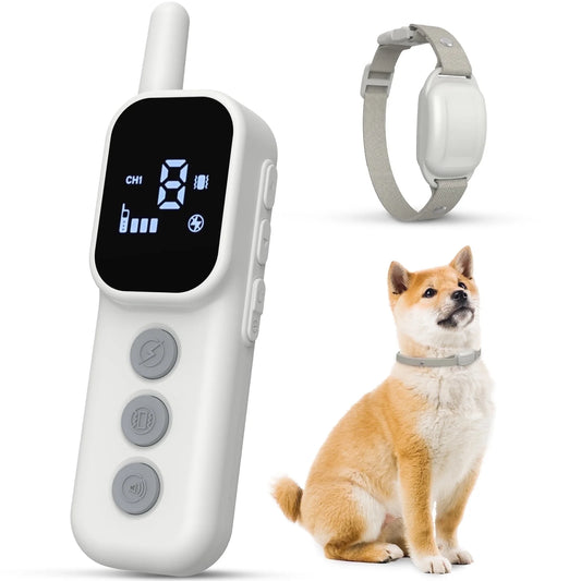 Dog Training Collar with Remote