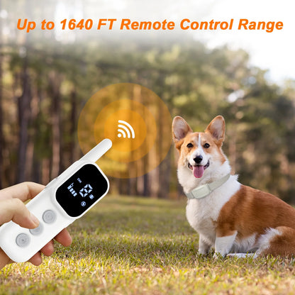 Dog Training Collar with Remote