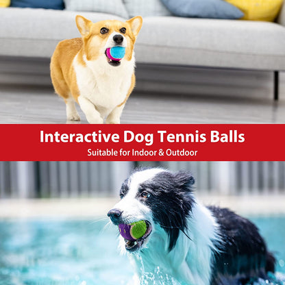 Squeaky Tennis Balls for Dogs – Interactive Fun for Every Breed